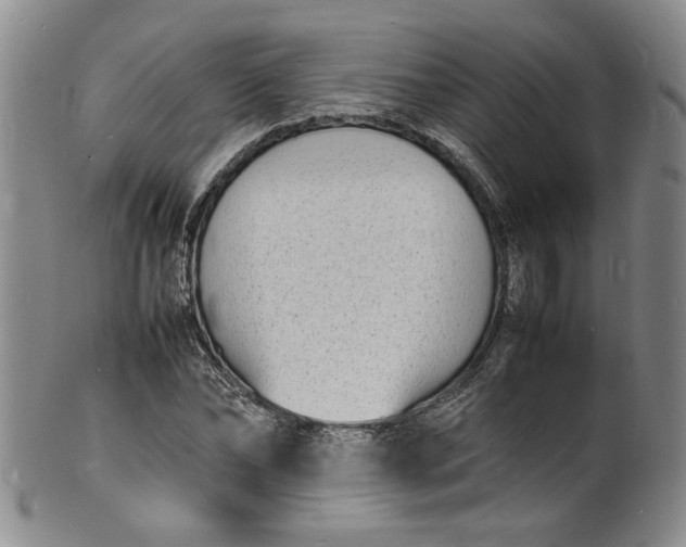 X0000100980878200807081241