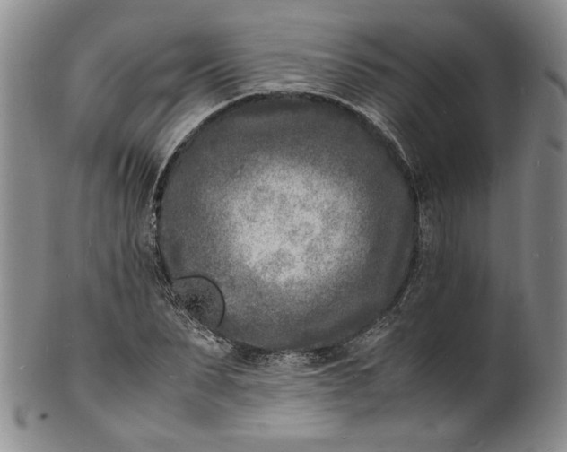 X0000100980879200807081241