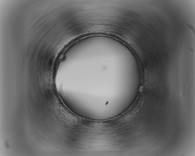 X0000100980880200807081241