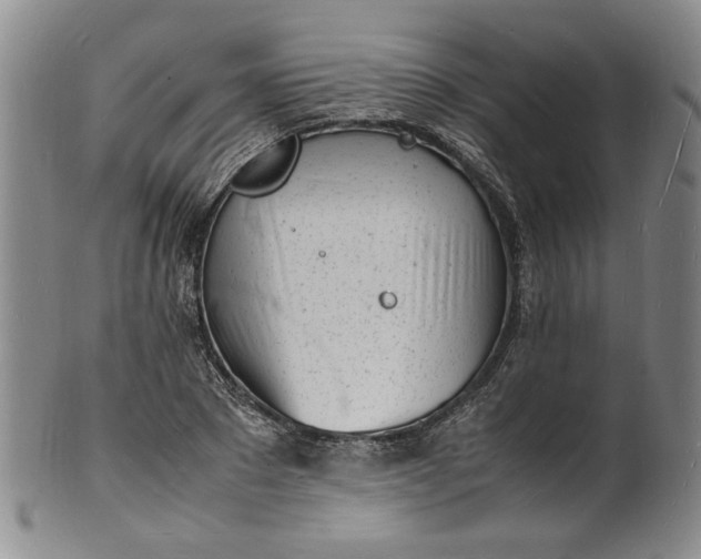 X0000100980881200807081241