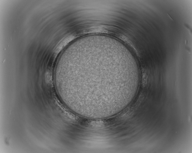 X0000100980882200807081241