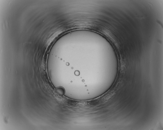 X0000100980883200807081241