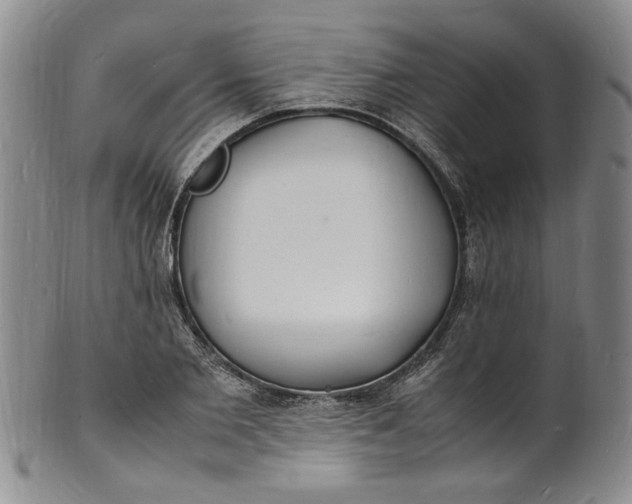 X0000100980885200807081241