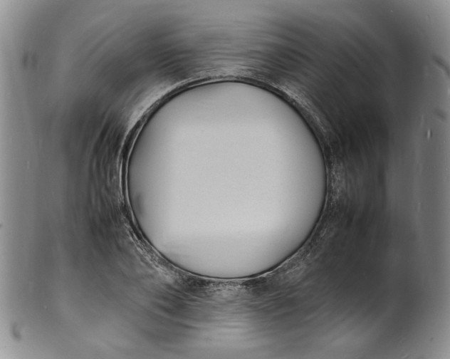 X0000100980886200807081241