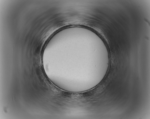 X0000100980887200807081241