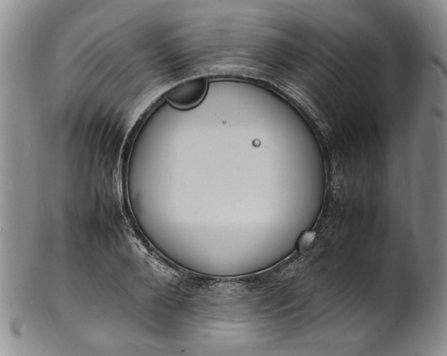 X0000100980888200807081241