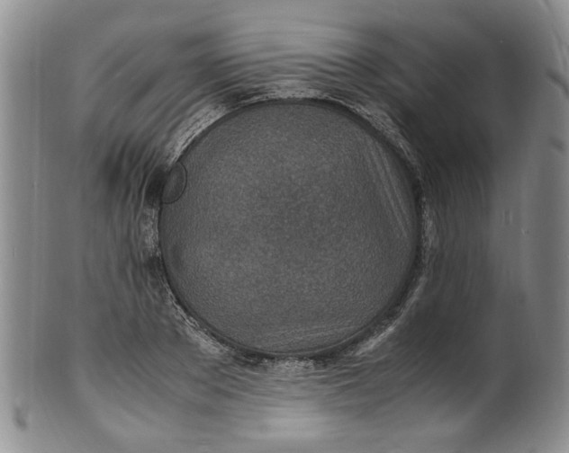 X0000100980889200807081241