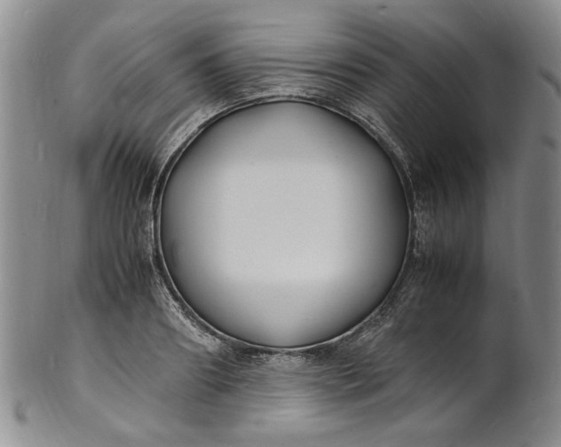 X0000100980890200807081241