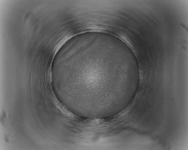 X0000100980891200807081241