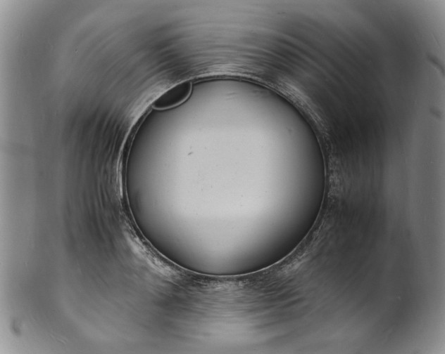 X0000100980892200807081241