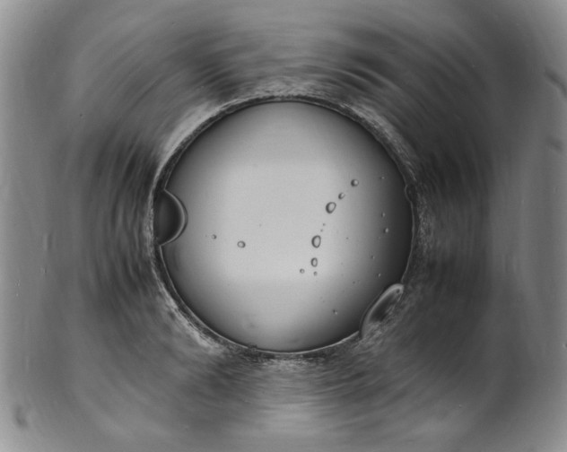 X0000100980894200807081241