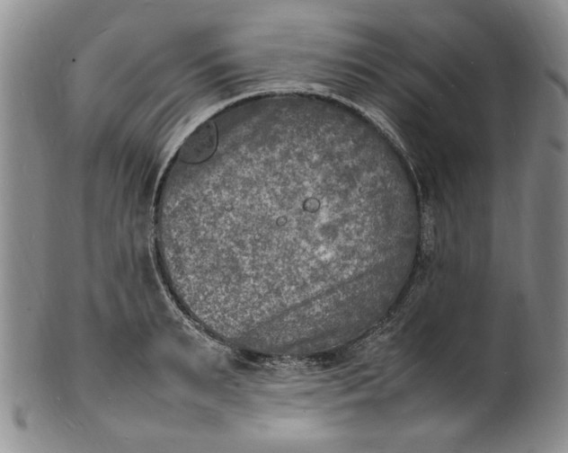 X0000100980895200807081241