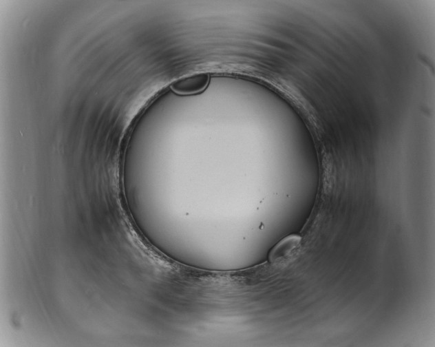 X0000100980896200807081241