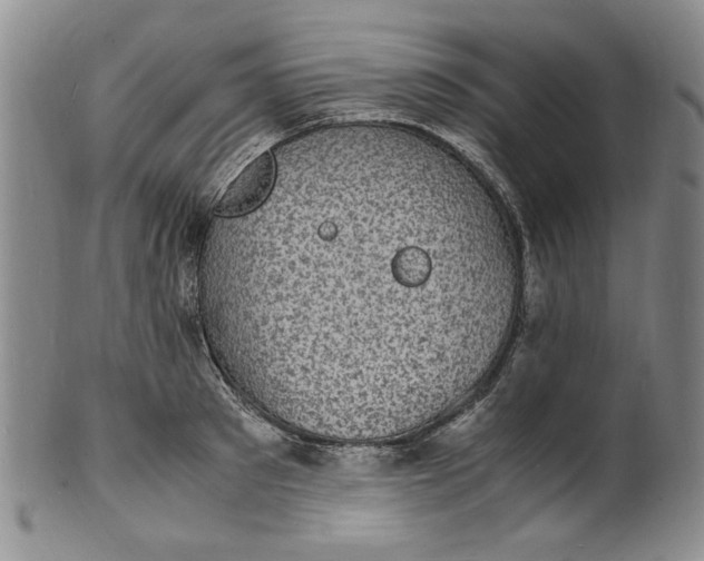 X0000100980897200807081241