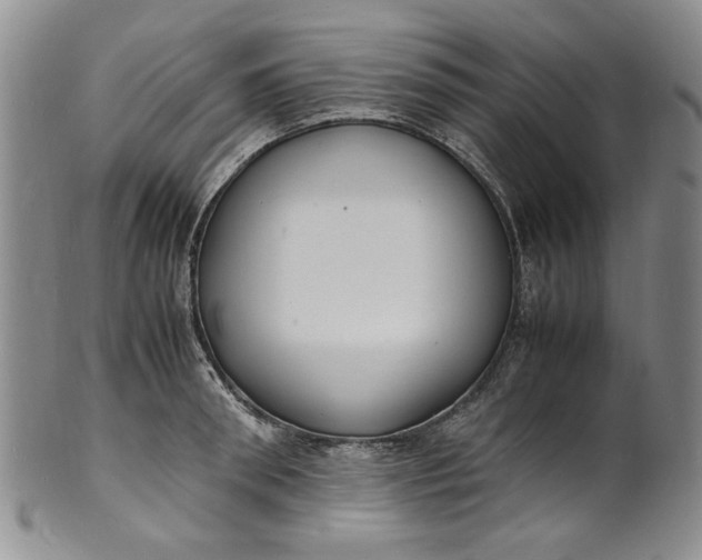 X0000100980898200807081241