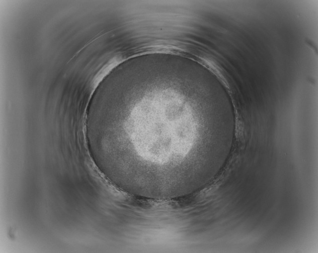 X0000100980899200807081240