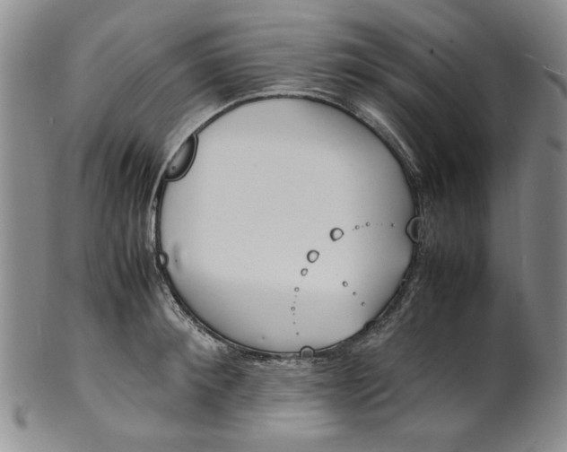 X0000100980900200807081240