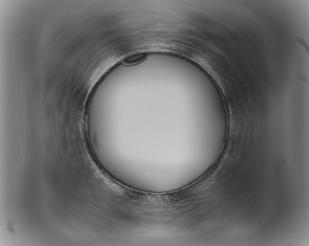 X0000100980901200807081240