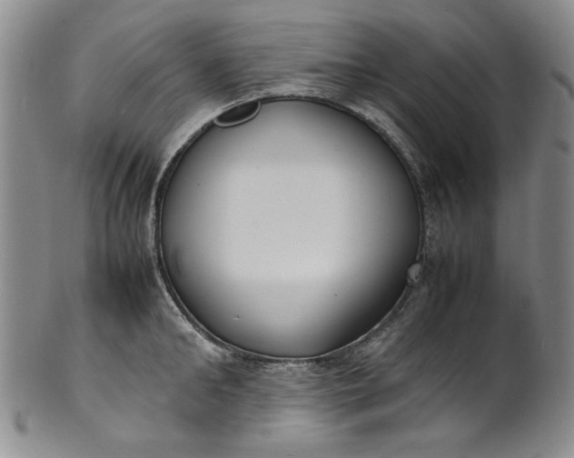 X0000100980902200807081240