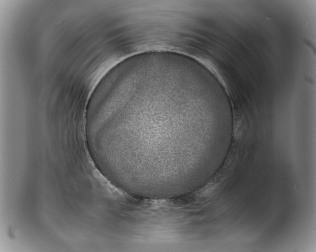 X0000100980903200807081240