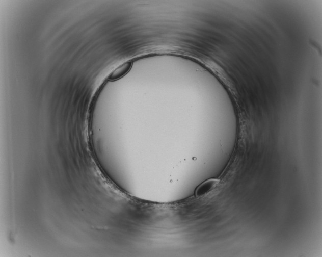 X0000100980904200807081240