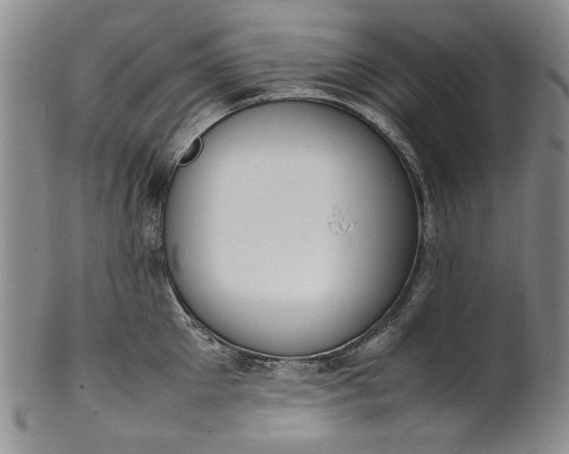 X0000100980905200807081240