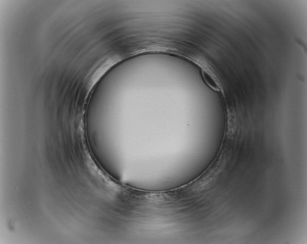 X0000100980906200807081240