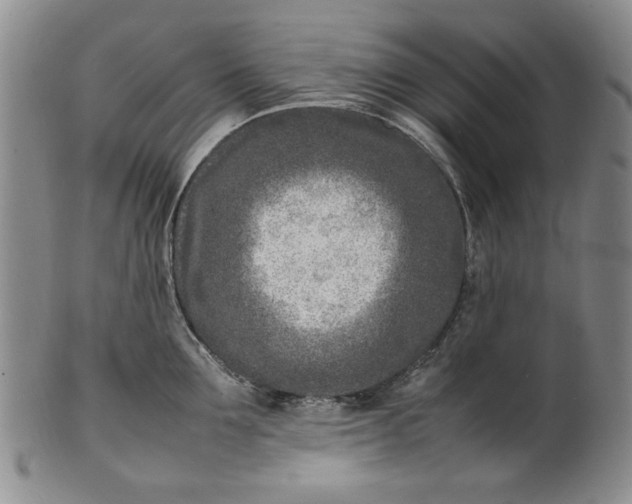 X0000100980907200807081240