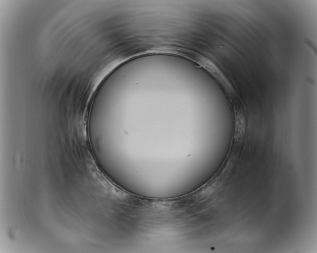 X0000100980908200807081240