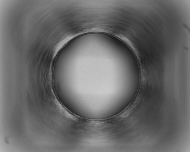 X0000100980910200807081240