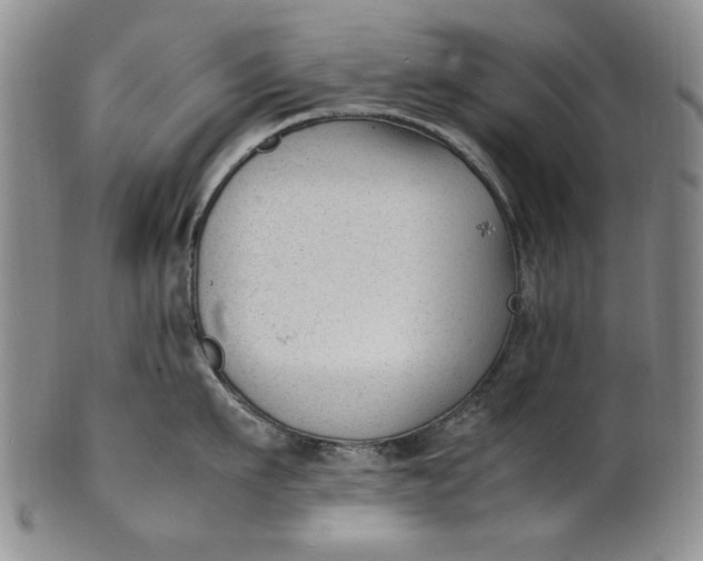 X0000100980911200807081240