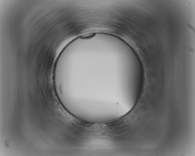 X0000100980912200807081240