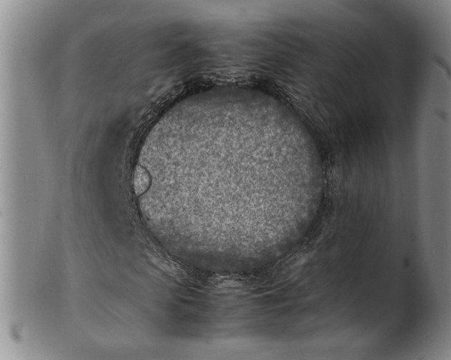 X0000100980913200807081240