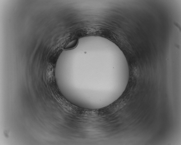 X0000100980914200807081240