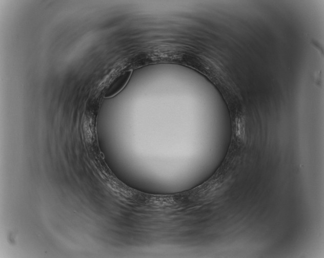 X0000100980915200807081240