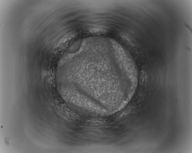 X0000100980917200807081240