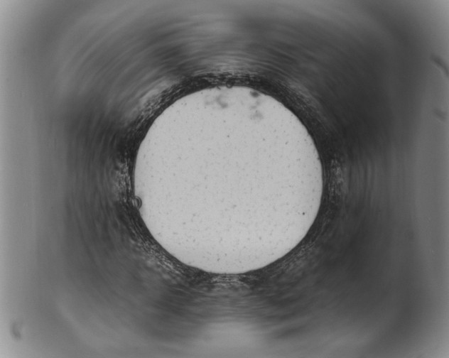 X0000100980918200807081240