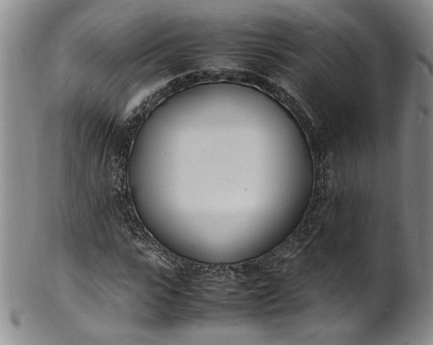 X0000100980919200807081240