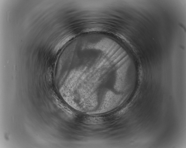 X0000100980921200807081240