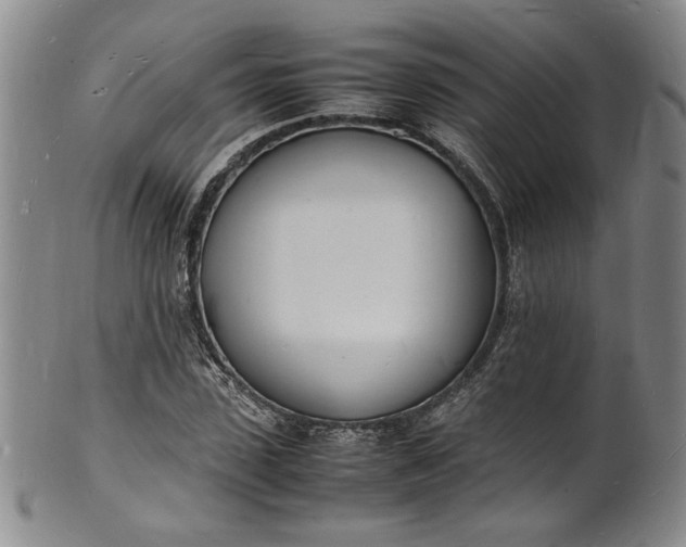 X0000100980923200807081240