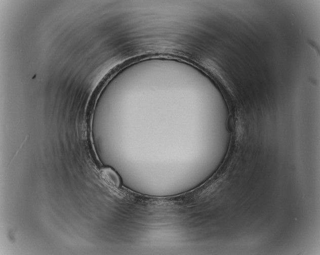 X0000100980924200807081240