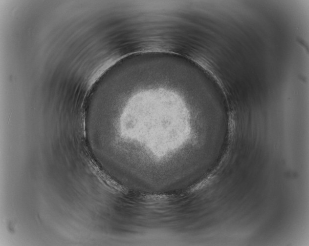 X0000100980925200807081240