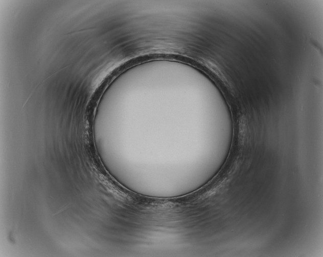 X0000100980926200807081240