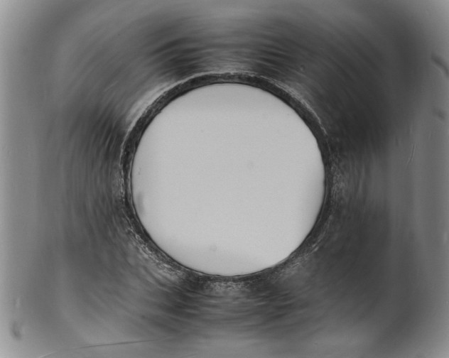 X0000100980927200807081240