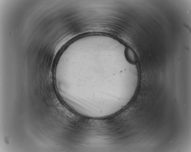 X0000100980928200807081240