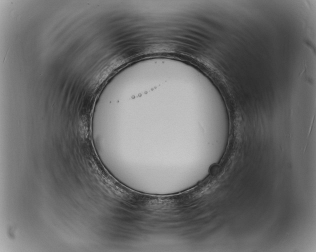 X0000100980929200807081240