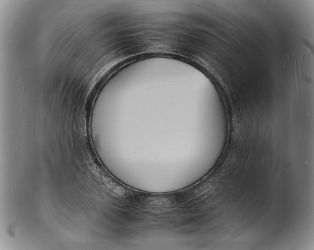 X0000100980931200807081240