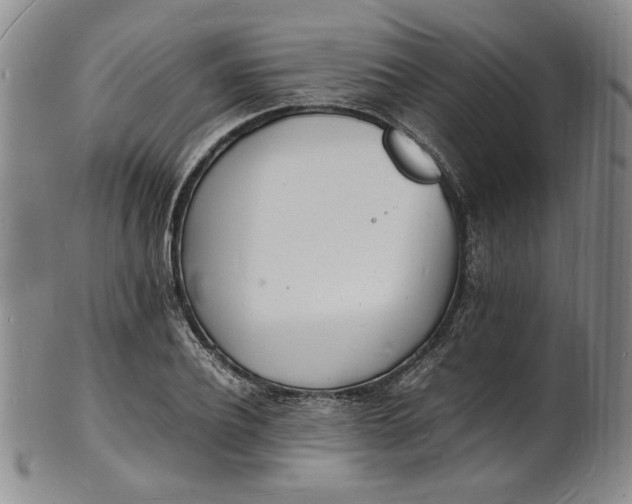 X0000100980932200807081240