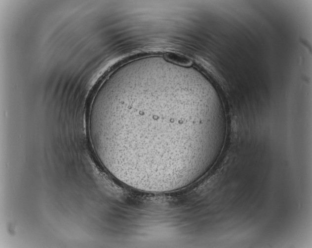 X0000100980934200807081240