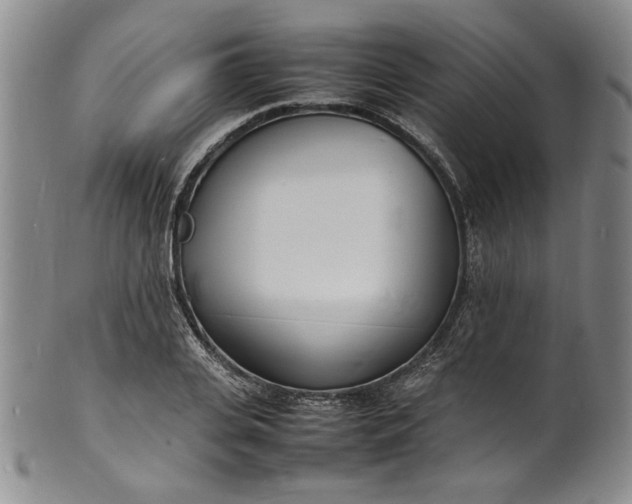 X0000100980935200807081240